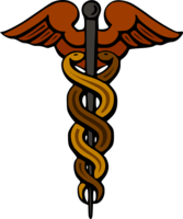 Logo Dr. med. Elke Ziemke Frauenärztin und Geburtshilfe